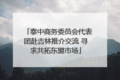 泰中商务委员会代表团赴吉林推介交流 寻求共拓东盟市场