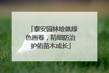 泰安园林绘就绿色画卷，精细防治护佑苗木成长
