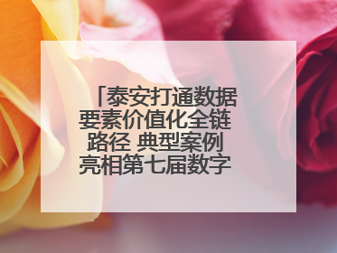 泰安打通数据要素价值化全链路径 典型案例亮相第七届数字中国建设峰会