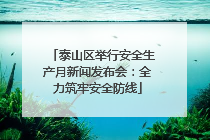 泰山区举行安全生产月新闻发布会：全力筑牢安全防线