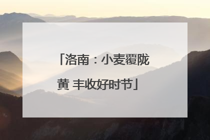 洛南：小麦覆陇黄 丰收好时节
