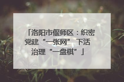 洛阳市偃师区：织密党建“一张网” 下活治理“一盘棋”