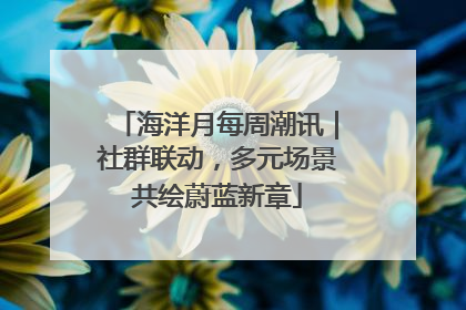 海洋月每周潮讯｜社群联动，多元场景共绘蔚蓝新章
