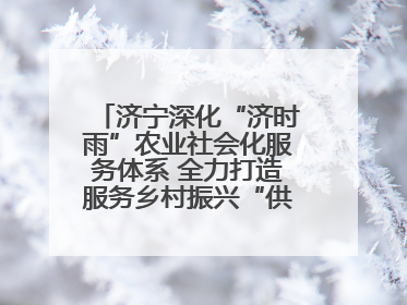 济宁深化“济时雨”农业社会化服务体系 全力打造服务乡村振兴“供销样板”