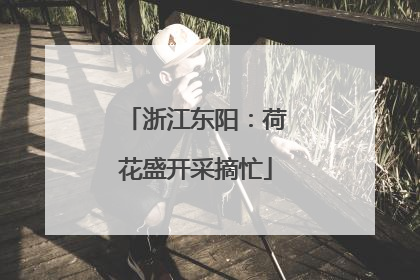 浙江东阳：荷花盛开采摘忙