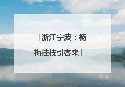 浙江宁波：杨梅挂枝引客来