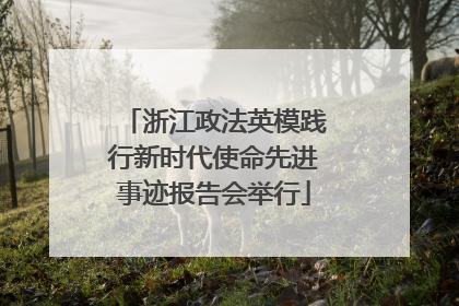 浙江政法英模践行新时代使命先进事迹报告会举行