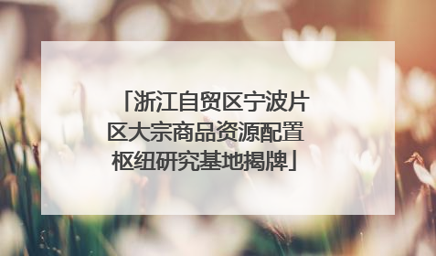 浙江自贸区宁波片区大宗商品资源配置枢纽研究基地揭牌