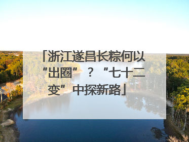 浙江遂昌长粽何以“出圈”？“七十二变”中探新路