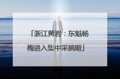 浙江黄岩：东魁杨梅进入集中采摘期