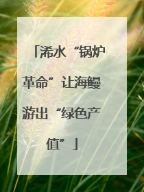 浠水“锅炉革命”让海鳗游出“绿色产值”