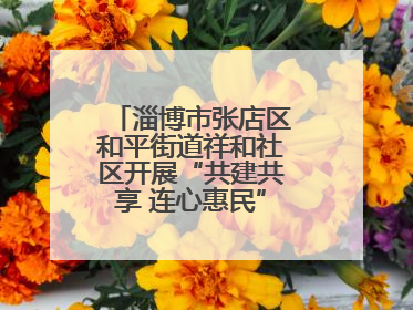淄博市张店区和平街道祥和社区开展“共建共享 连心惠民”便民志愿活动