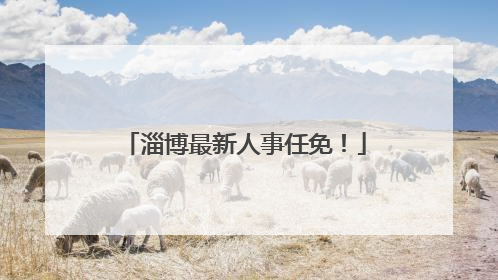 淄博最新人事任免！