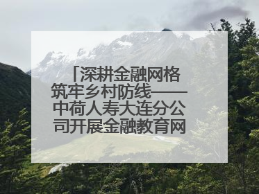深耕金融网格 筑牢乡村防线——中荷人寿大连分公司开展金融教育网格化宣传活动