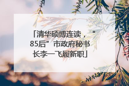 清华硕博连读，“85后”市政府秘书长李一飞履新职
