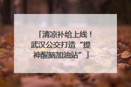 清凉补给上线！武汉公交打造“提神醒脑加油站”