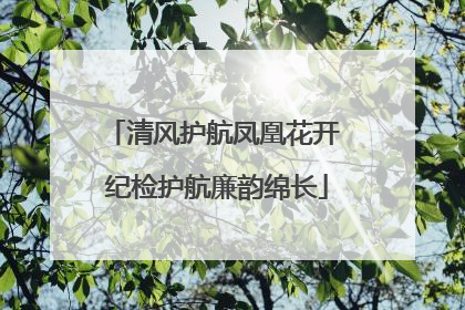 清风护航凤凰花开 纪检护航廉韵绵长