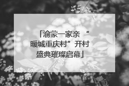 渝蒙一家亲 “暖城重庆村”开村盛典璀璨启幕