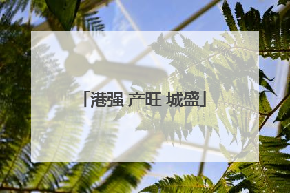 港强 产旺 城盛