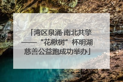 湾区泉涌·南北共擎——“花楸树”杯明湖慈善公益跑成功举办