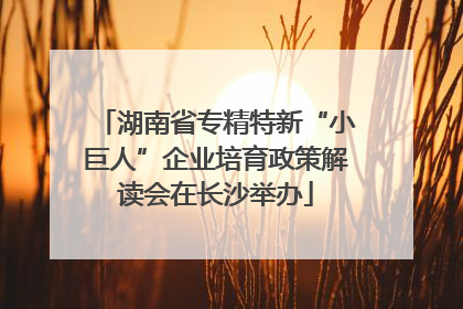 湖南省专精特新“小巨人”企业培育政策解读会在长沙举办