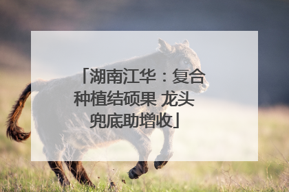 湖南江华：复合种植结硕果 龙头兜底助增收