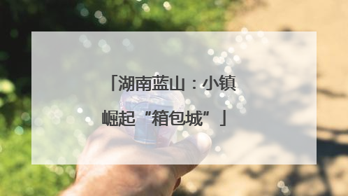 湖南蓝山：小镇崛起“箱包城”