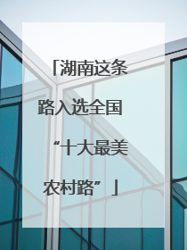 湖南这条路入选全国“十大最美农村路”