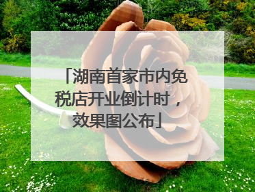 湖南首家市内免税店开业倒计时，效果图公布