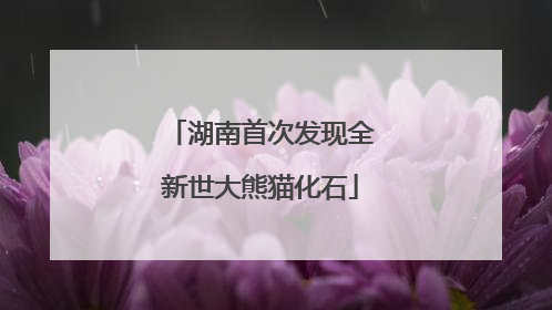 湖南首次发现全新世大熊猫化石