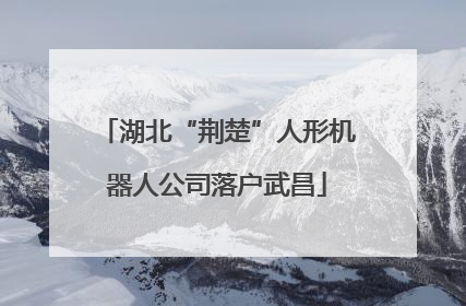 湖北“荆楚”人形机器人公司落户武昌