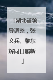 湖北省领导调整，张文兵、黎东辉同日履新