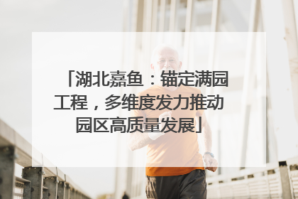 湖北嘉鱼：锚定满园工程，多维度发力推动园区高质量发展