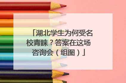湖北学生为何受名校青睐？答案在这场咨询会（组图）