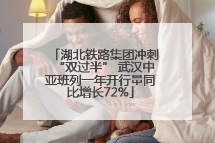 湖北铁路集团冲刺“双过半” 武汉中亚班列一年开行量同比增长72%