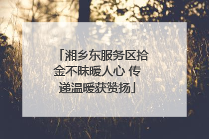 湘乡东服务区拾金不昧暖人心 传递温暖获赞扬
