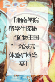 湘南学院留学生探秘“矿物王国” 沉浸式体验矿博盛宴