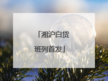 湘沪白货班列首发