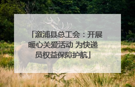 溆浦县总工会：开展暖心关爱活动 为快递员权益保障护航