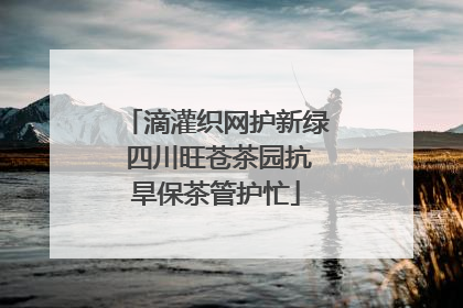 滴灌织网护新绿 四川旺苍茶园抗旱保茶管护忙