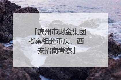 滨州市财金集团考察组赴重庆、西安招商考察