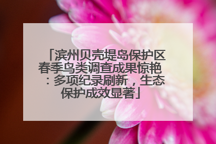 滨州贝壳堤岛保护区春季鸟类调查成果惊艳：多项纪录刷新，生态保护成效显著