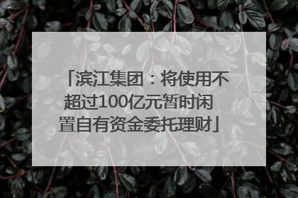 滨江集团：将使用不超过100亿元暂时闲置自有资金委托理财