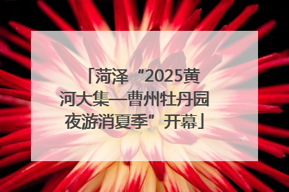 菏泽“2025黄河大集—曹州牡丹园夜游消夏季”开幕