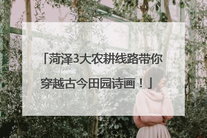 菏泽3大农耕线路带你穿越古今田园诗画！