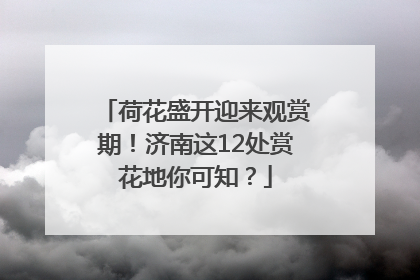 荷花盛开迎来观赏期！济南这12处赏花地你可知？