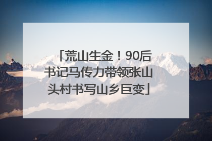 荒山生金！90后书记马传力带领张山头村书写山乡巨变
