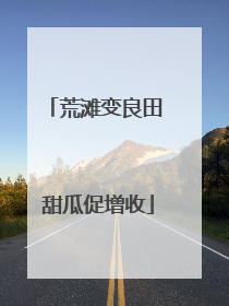 荒滩变良田 甜瓜促增收