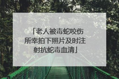 老人被毒蛇咬伤 所幸拍下照片及时注射抗蛇毒血清