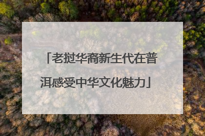 老挝华裔新生代在普洱感受中华文化魅力